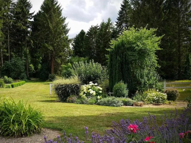 Cottage