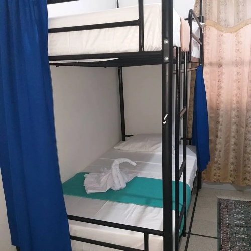 Hostal Canaan - Hostel
