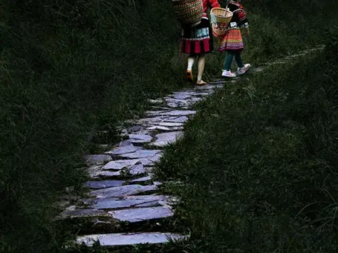 Longji Terraces Chenxi Junxiu Homestay (Jinfoding Observation Deck)