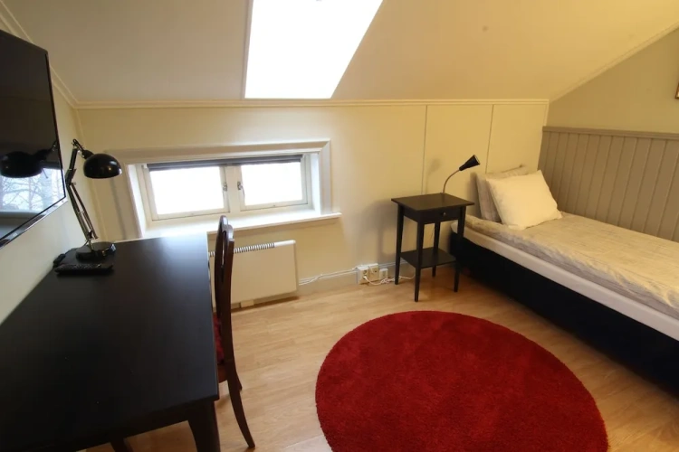 Comfort Single room with park view