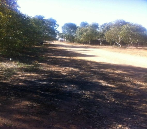 William Creek Camp Ground & Units