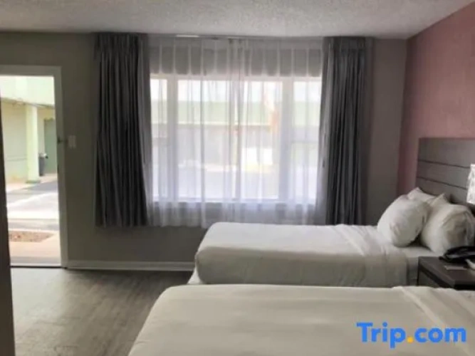 Quadruple Suite