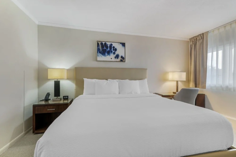 Standard Double room with pool view