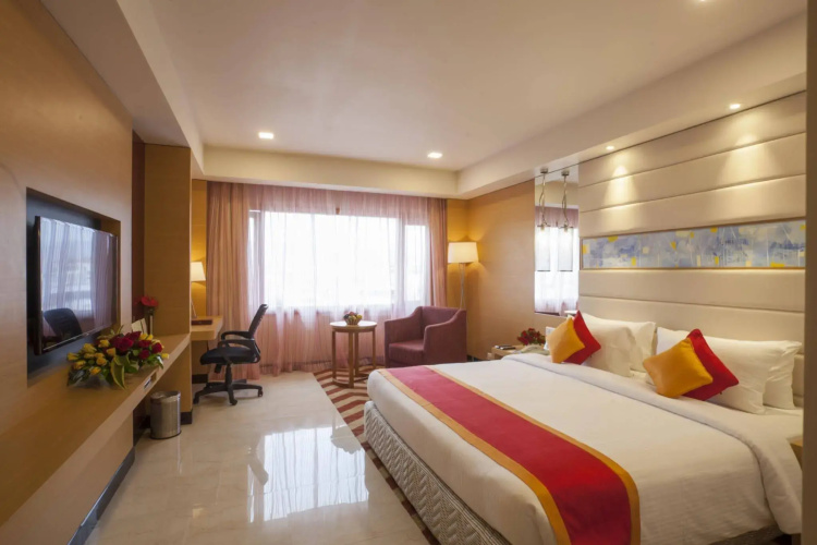 Dolphin Hotel