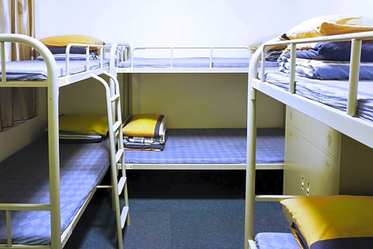 Bed in Dorm