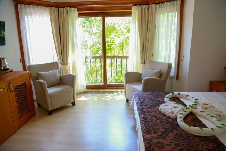 Deluxe Double room with view