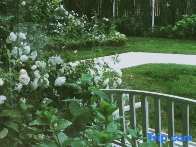 Suyi Garden Guesthouse