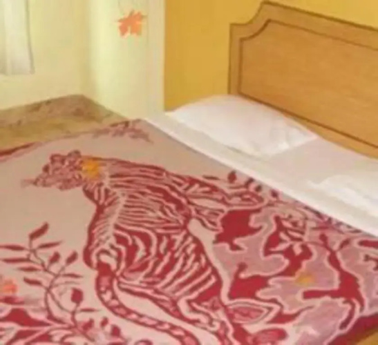 Hotel Rumani