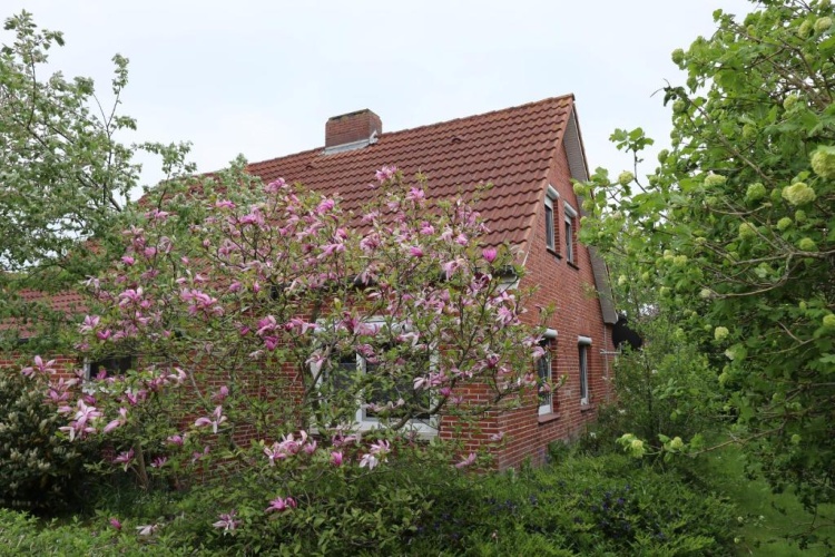 4 Bedrooms Cottage