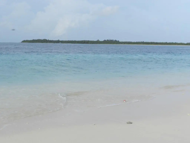 Mulah Surf Camp