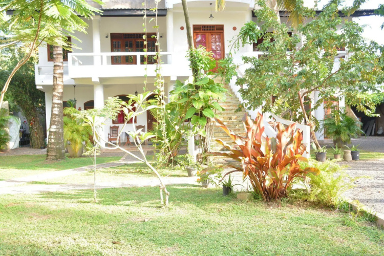Dream Villa