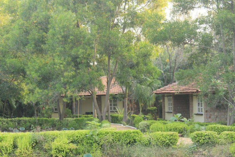 Tiger Trails Resorts