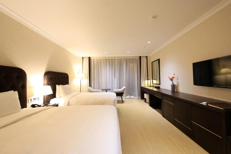 Deluxe Double room with ocean view