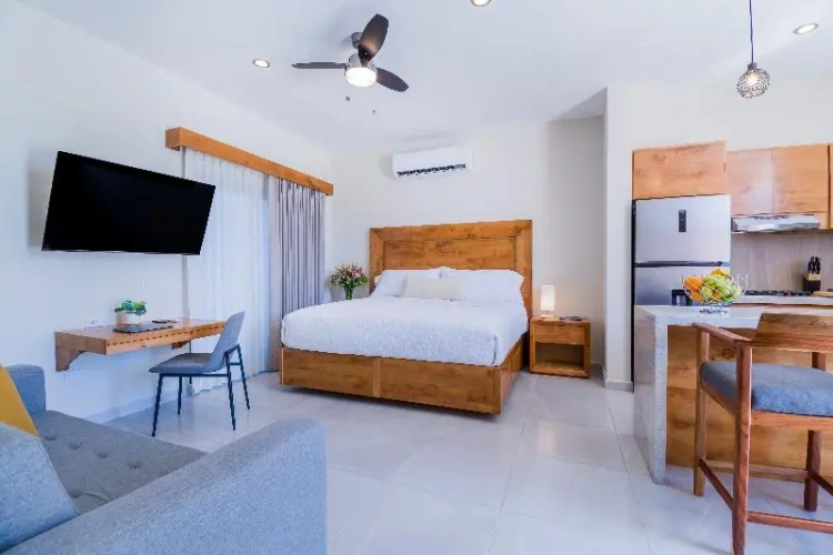 1 Bedroom Suite