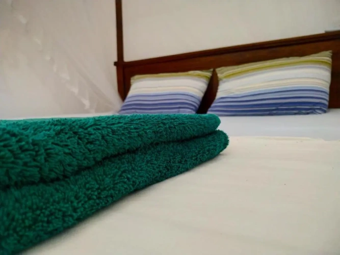Deluxe Double room with balcony and with view