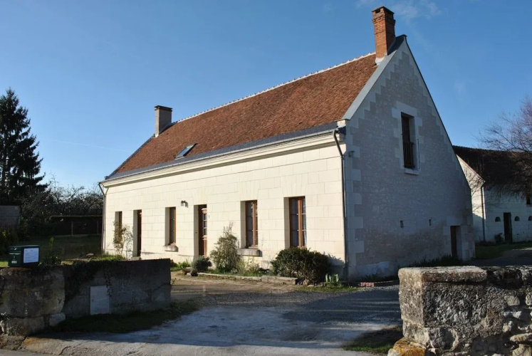 Le Tulipier de Virginie