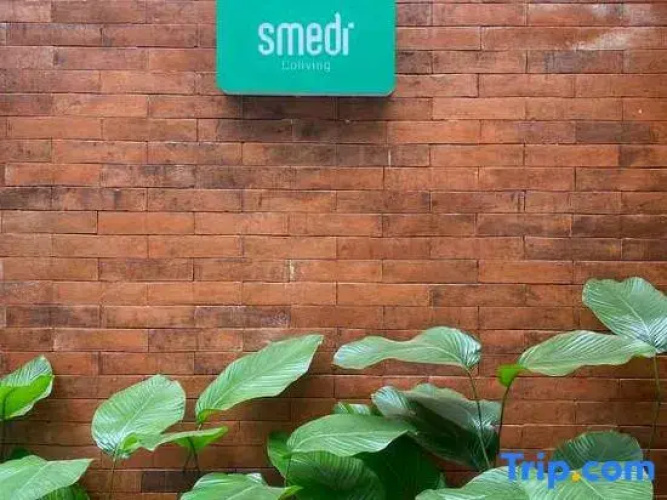 Smedi Coliving