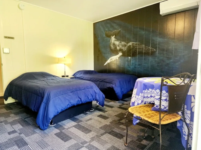 Economy Twin room