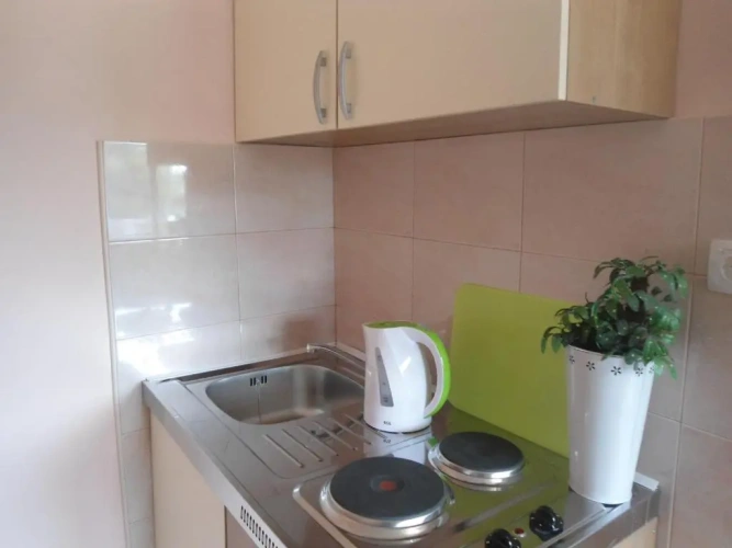 Standard Studio with balcony and with view