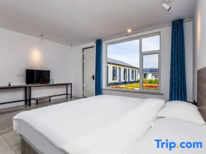 Standard Double room with view