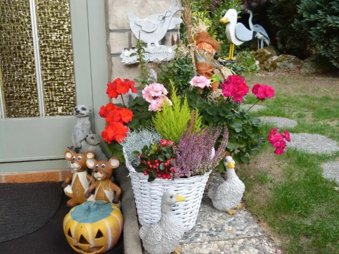 1 Bedroom Cottage