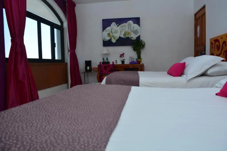 Quadruple Junior Suite