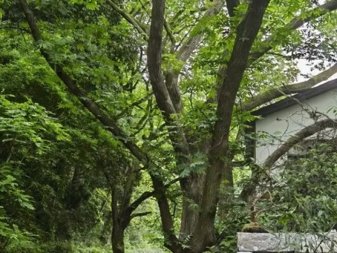 Outside