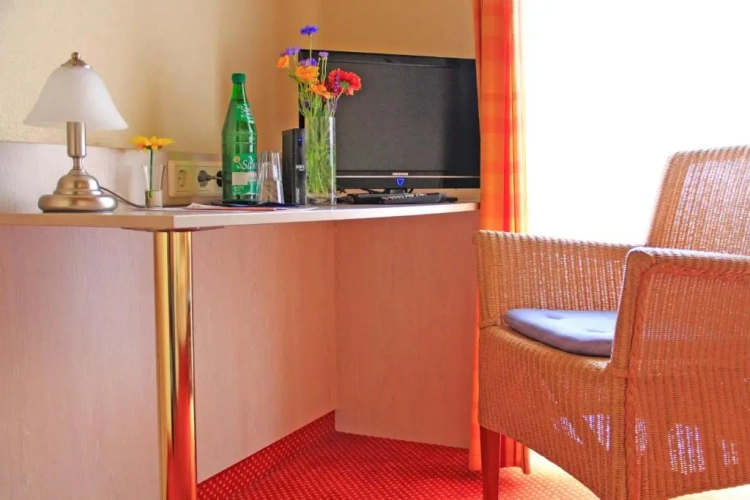 Standard Single room with balcony and with view