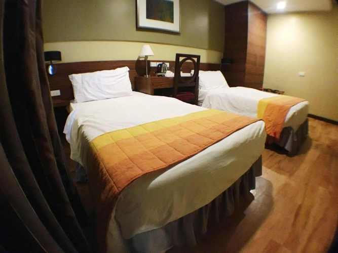 Deluxe Twin room