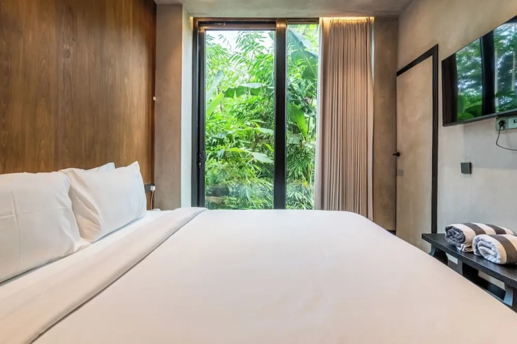 1 Bedroom Comfort Apartment
