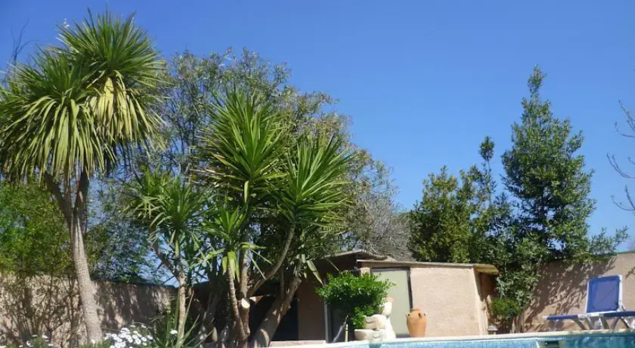 Papill'hôte
