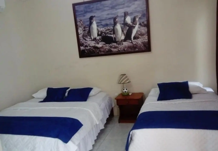 Standard Double room with balcony and with view