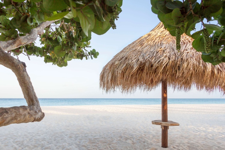 Manchebo Beach Resort & Spa photo 25