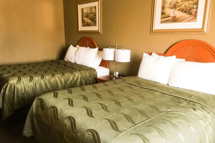 Quality Inn & Suites Lincoln near I-55