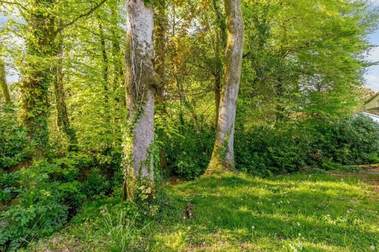 Brook Cottage
