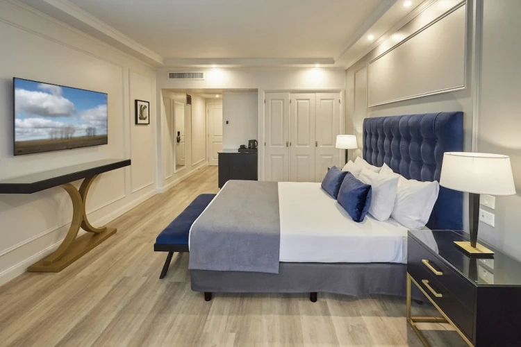 Deluxe Double room with city view