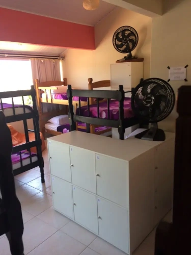 Bed in Dorm