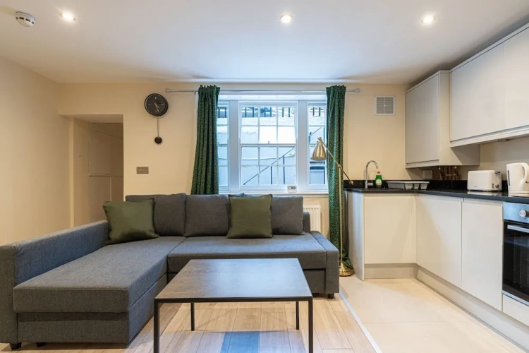 Deluxe Apartment