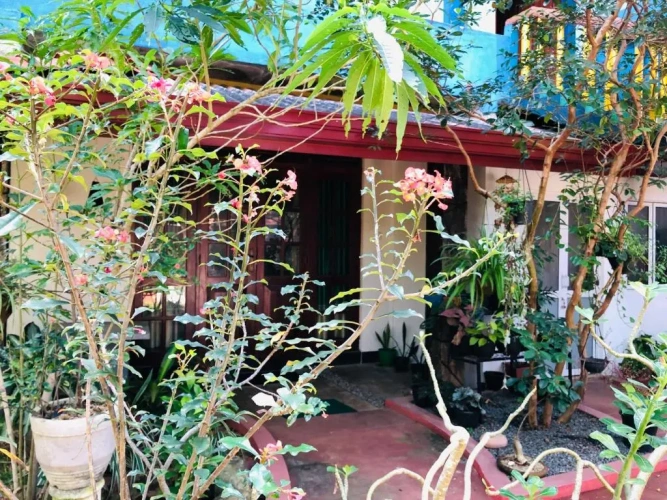 Standard Double room with balcony and with park view