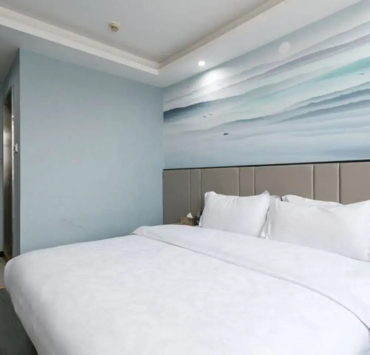 Sucha Hotel Changsha B&T Center