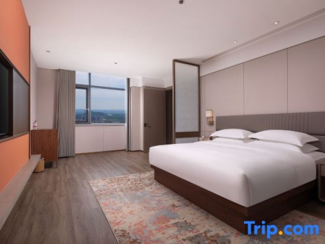 1 Bedroom Business Suite