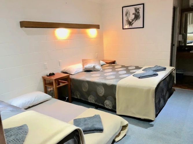 1 Bedroom Standard Twin Family room