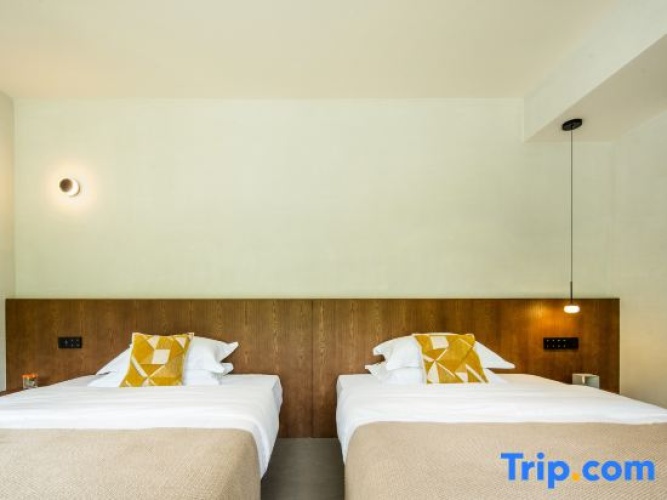 Standard Double room with balcony and with mountain view
