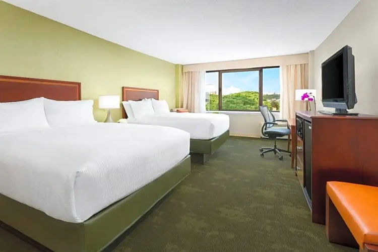 Executive Quadruple room