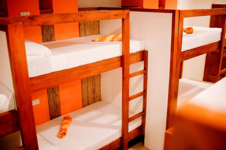 Hostel Avenue