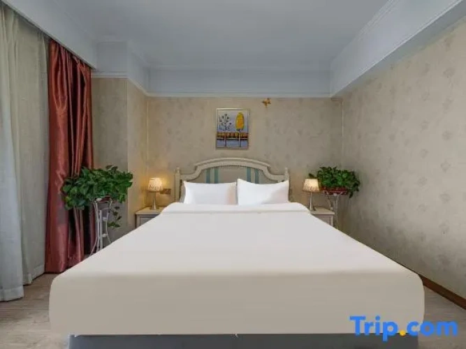 Comfort Suite