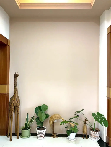 TONG YI Homestay