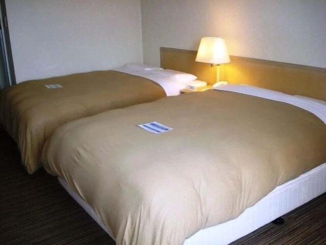 Deluxe Sextuple room