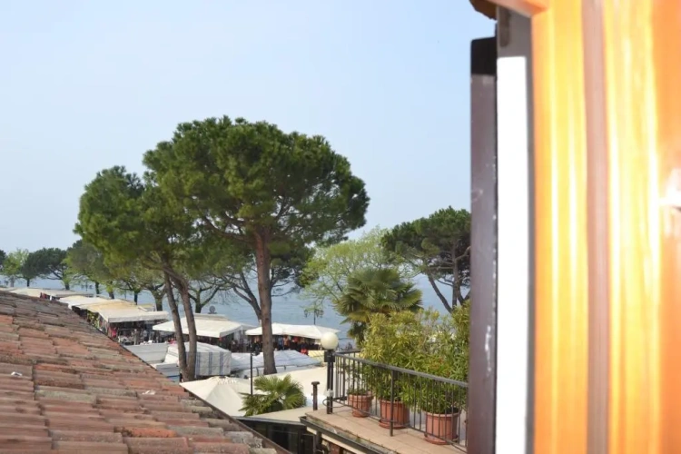 Standard Double room with balcony and with lake view