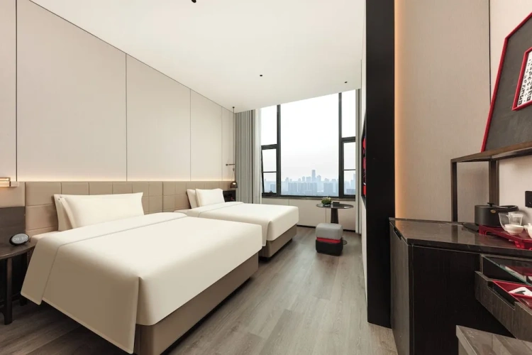Standard Twin room with city view